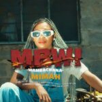 Download Video | Mimah – Mbwi – ( Wameachana )