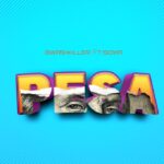 Download Audio | T Sigwa X Bwashkiller – Pesa