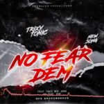 Download Audio | Trixy Tonic – No fear Dem