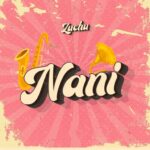 Download Audio | Zuchu – Nani