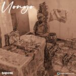 Download Audio | Rapcha – Uongo