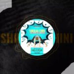 Download Audio | Vanella Cheusse x Ayoo Six – Shikilia Chini