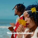 Download Video | Kassam Ft. Xouh – Usiwaze (Lyrics)