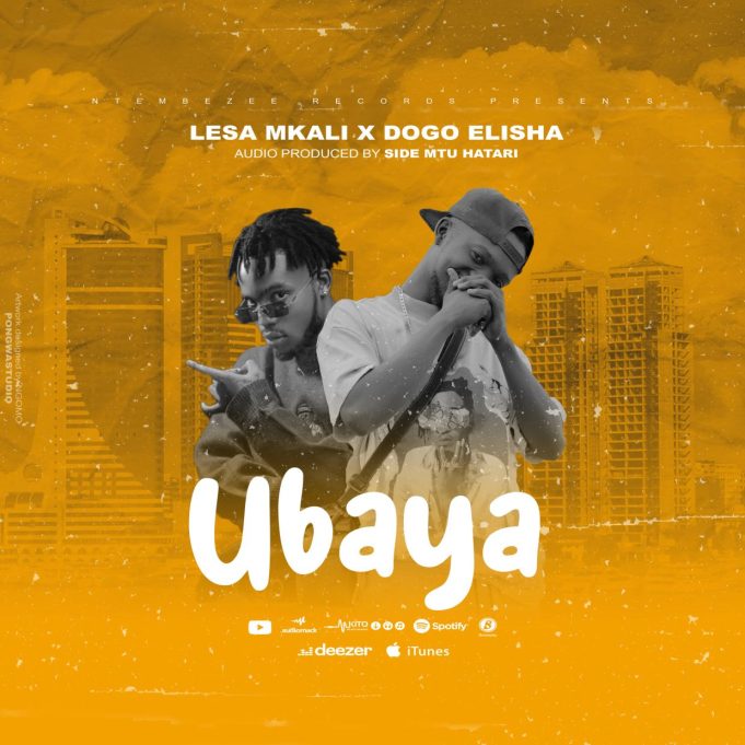 Download Audio | Lesa Mkali X Dogo Elisha – UBAYA