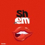 Download Audio | Ibraah Ft dj Tarico – Shem