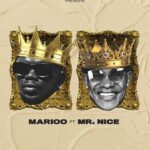 Download Audio | Marioo Ft. Mr. Nice – Shisha