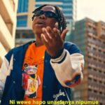 Download Video | Msamiati x Lody Music – Ananichanganya