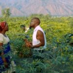 Download Video | Wakikuba Ft. Merry D – Nisamehe