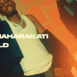 Download Video | FD Mwanaharakati x Lizald – Walete