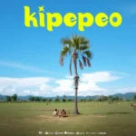 Download Audio | Hisili Music – Kipepeo