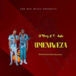 Download Audio | Lil Money Ft. P. Austin – Umeniweza