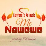 Download Audio | Lizytone X Pd Music – Me Nawewe
