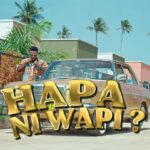 Download Video | Suma Mnazaleti Ft. Chino Kidd & Gerkey – Hapa Ni Wapi
