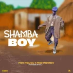 Download Audio | Fido Mgaigai ft Misso Misondo – Shamba Boy
