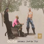 Download Audio | Spinall Ft. Omah Lay & Tyla – One Call