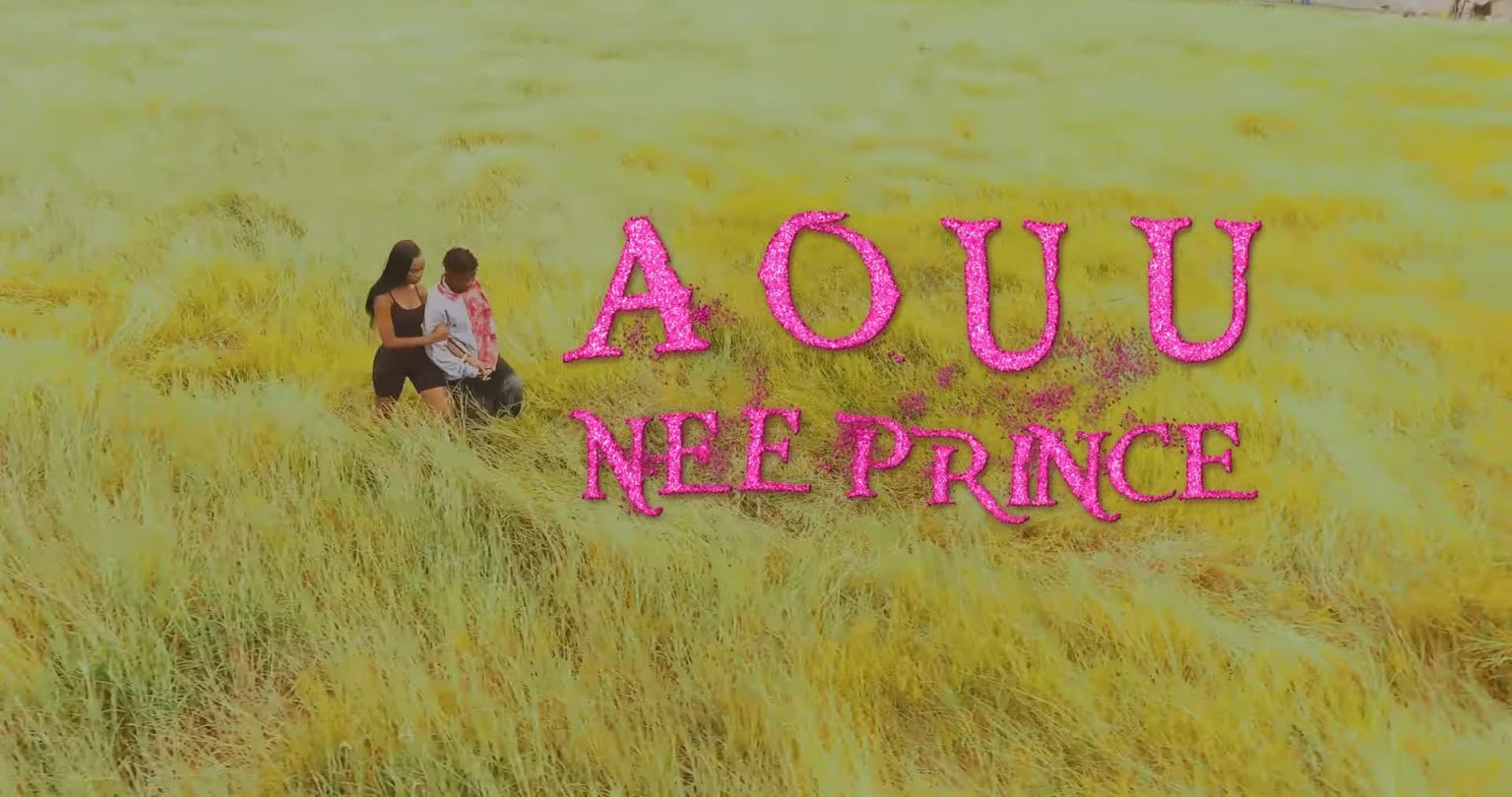 Download Video | Nee Prince – Ao uu