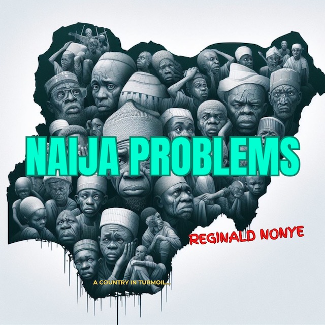 Download Audio | Reginald Nonye – Naija Problems