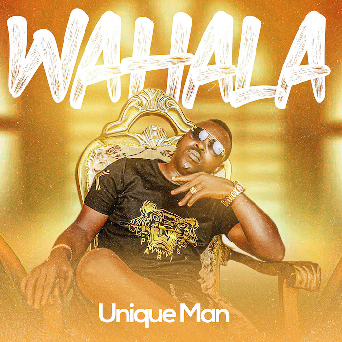 Download Audio | Unique Man – Wahala