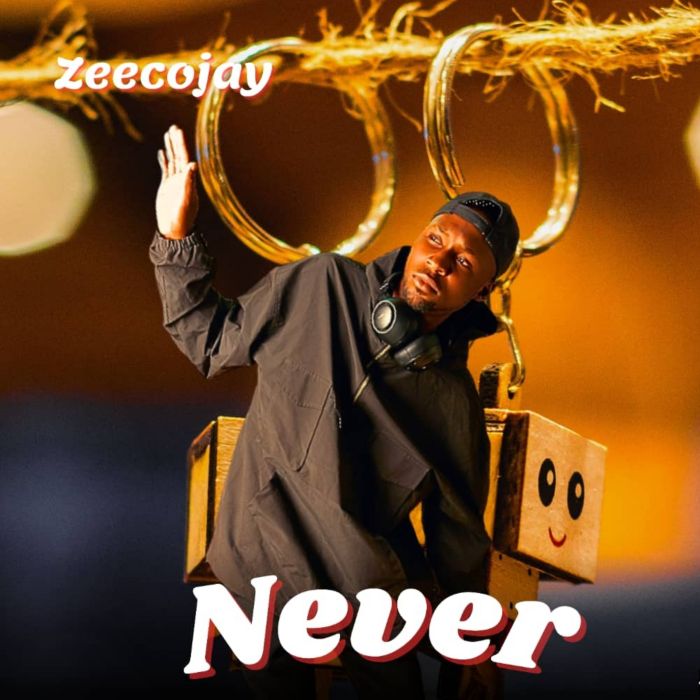 Download Audio | Zeecojay – Never