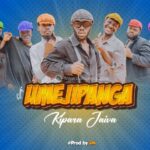 Download Audio | Kipara Jaiva – Umejipanga