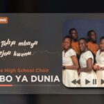 Download Audio | Namboole high School – Mambo ya Dunia