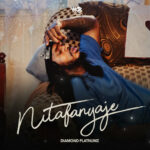 Download Audio | Diamond Platnumz – Nitafanyaje