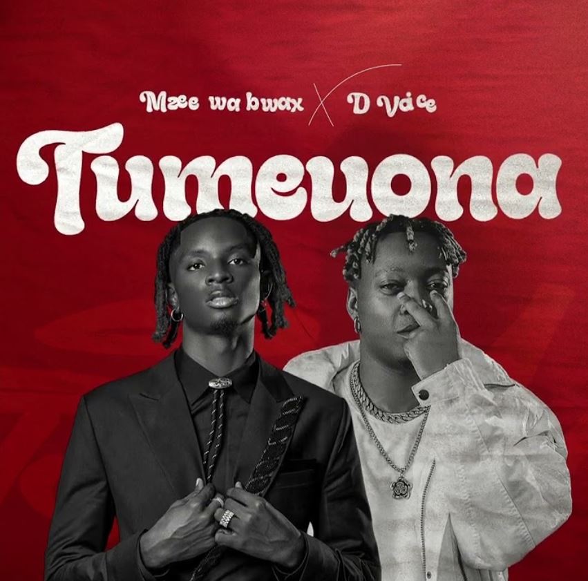 Download Audio | Mzee Wa Bwax ft D Voice – Tumeuona
