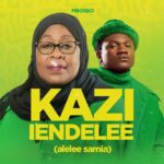 Download Audio | Mbosso – Kazi Iendelee
