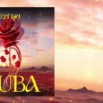 Download Audio | Sani Boy – Huba
