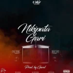 Download Audio | OMG – Nikipata Gari
