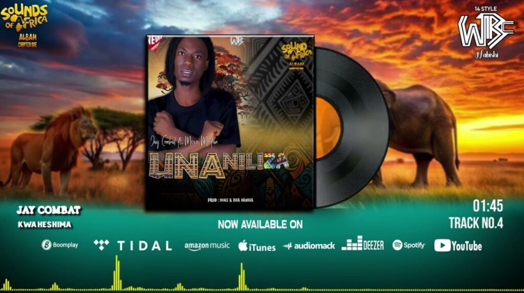 Music Audio | Jay Combat Ft Mczo Morfan – Unaniliza | Download
