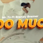 Music Audio | Mr Tz Ft Brandy Bramer – Too Much | Download