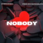Music Audio | Vii Sugar Boy – Nobody | Download