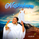 Music Audio | Shilole – Nashukuru | Download