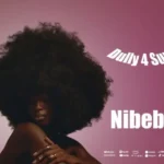 Music Audio : Dully 4 sure – nibebe | Download Mp3