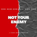 Music Audio : Bobi Wine Ft Nubian Li & King Saha – Not Your Enemy | Download Mp3