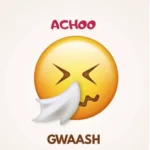 Music Audio : Gwaash – Achoo | Download Mp3