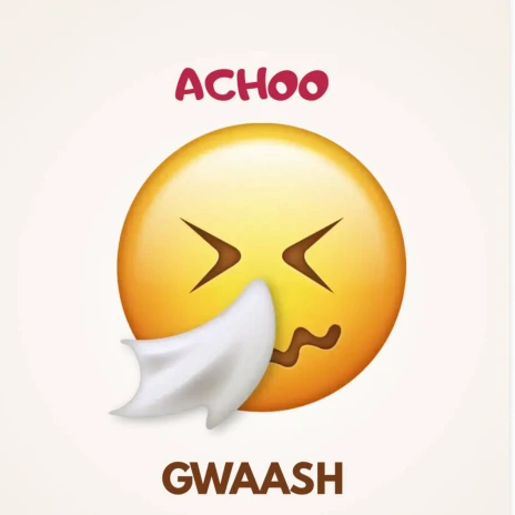 Music Audio : Gwaash – Achoo | Download Mp3