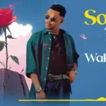 Music Audio : Aslam Tz – Wakuniliza (Acoustic) | Download Mp3