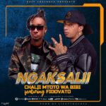 Music Audio : Chalii Mtoto Wa Bibi Ft Fido Vato – Ngaksalii | Download Mp3