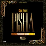 Music Audio : Chid Benz – Pisha | Download Mp3