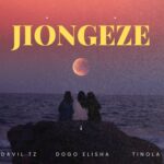 Music Audio : Davil Ft Dogo Elisha & Tinola – Jiongeze | Download Mp3