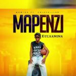 Music Audio : Mbwido – Mapenzi Kulaanina | Download Mp3