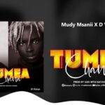 Music Audio : Mudy Msanii Ft D voice -Tumeachana | Download Mp3