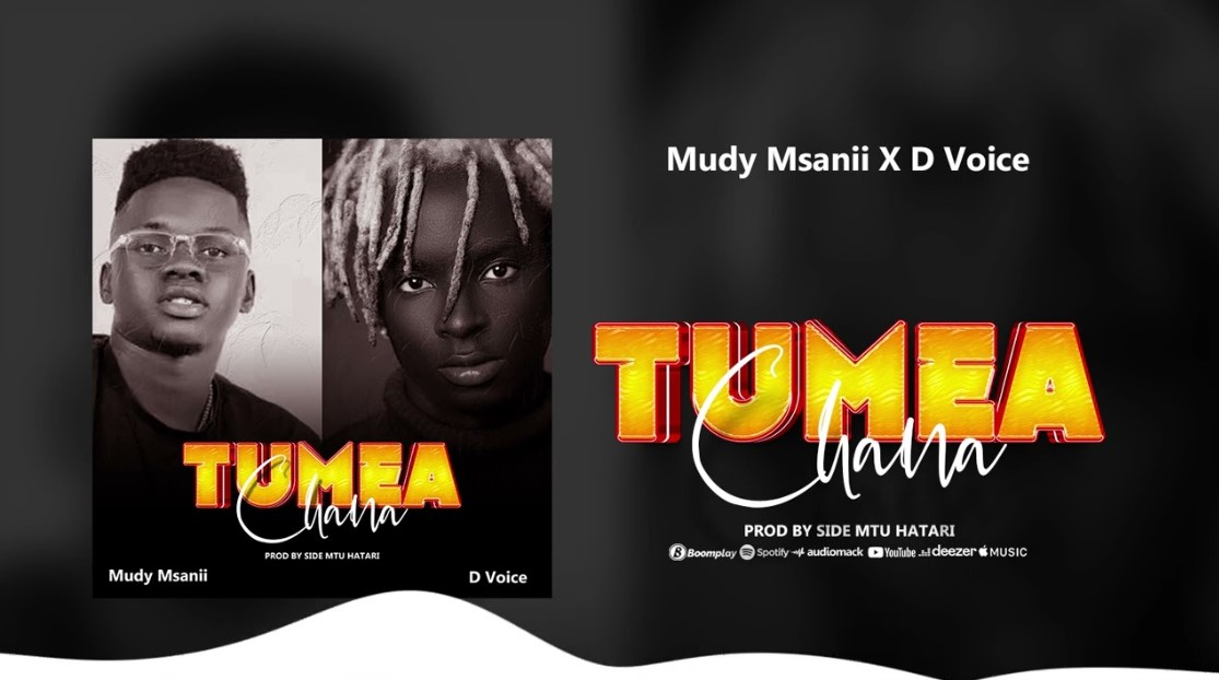 Music Audio : Mudy Msanii Ft D voice -Tumeachana | Download Mp3