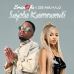Music Audio : Sminofu Ft Zee Nxumalo – Sajola Kamnandi | Download Mp3