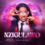 Music Audio : Spice Diana – Nzigulawo | Download Mp3