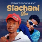 Music Audio : Stizo Ft Dogo sajent – SIACHANI NAE | Download Mp3