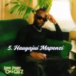 Music Audio : Vii Sugar Boy – Hauyajui Mapenzi | Download Mp3