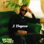 Music Audio : Vii Sugar Boy – Ongeza | Download Mp3